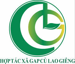 HTX GAP Cù Lao Giêng